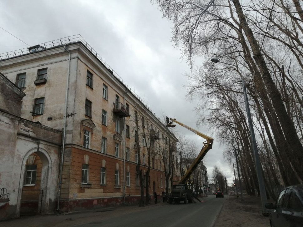 На омоложение тополей в Северодвинске выделено 2 млн. рублей
